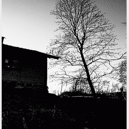 Råkall : Självmanipulation av Syfteslösa Tankar: Torkat Blod